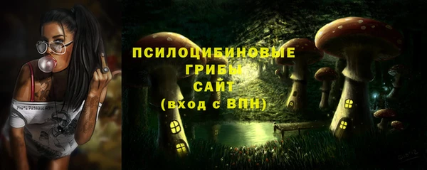 индика Покров