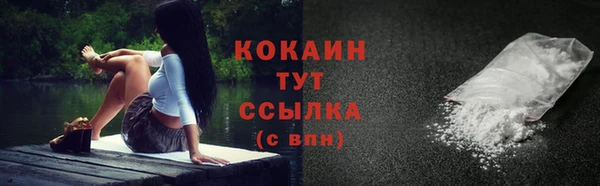 Альфа ПВП Богородицк