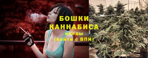 Альфа ПВП Богородицк