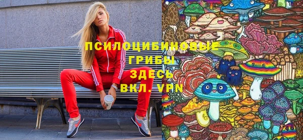 mdma Белокуриха