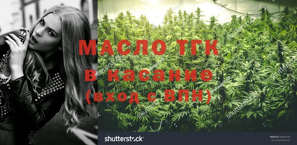 гидра Богданович