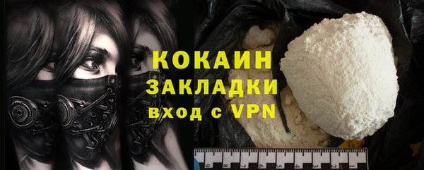 гидра Богданович