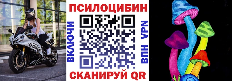 Галлюциногенные грибы ЛСД  Богородск 